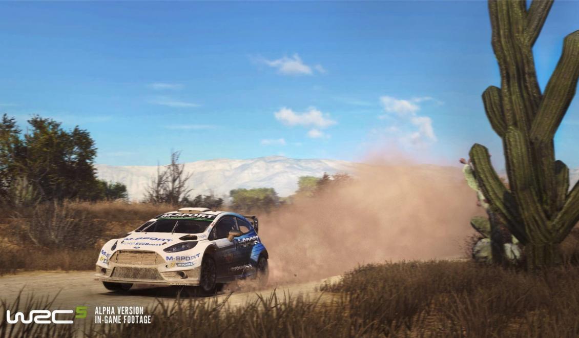 WRC5 gameplay video