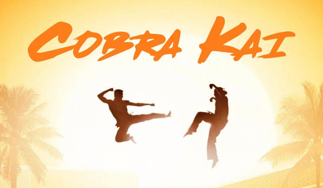Videohra Cobra Kai je vonku
