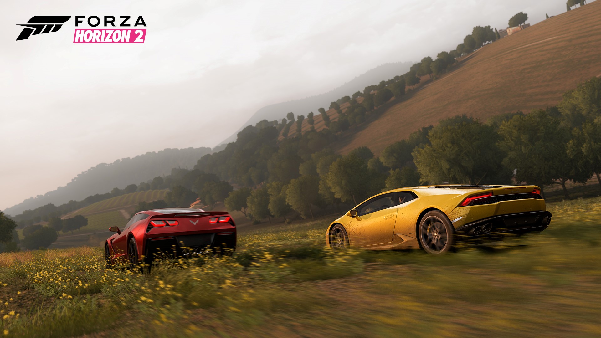 Klik pro zvětšení (E3 2014: 200 aut v základu, tolik slibuje Forza Horizon 2)