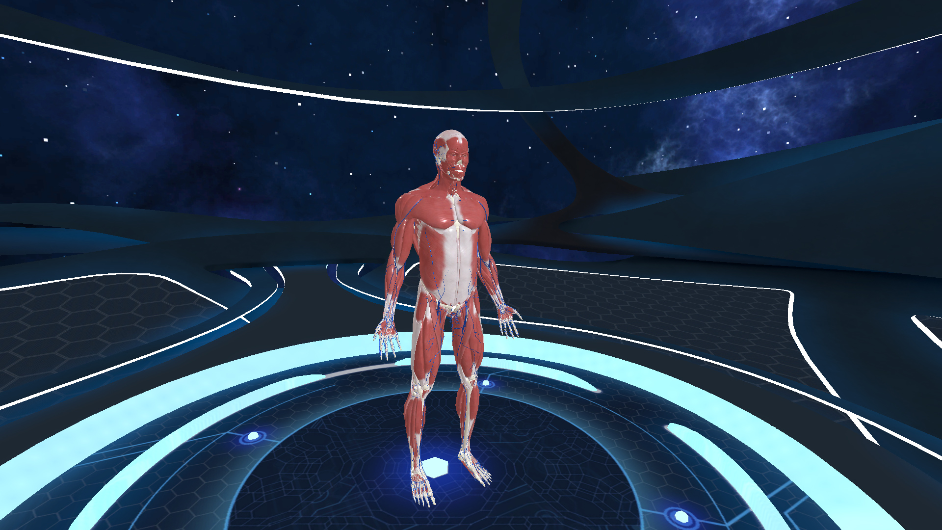 Klik pro zvětšení (Human Anatomy VR vás naučí spoznávať svoje telo - recenze)