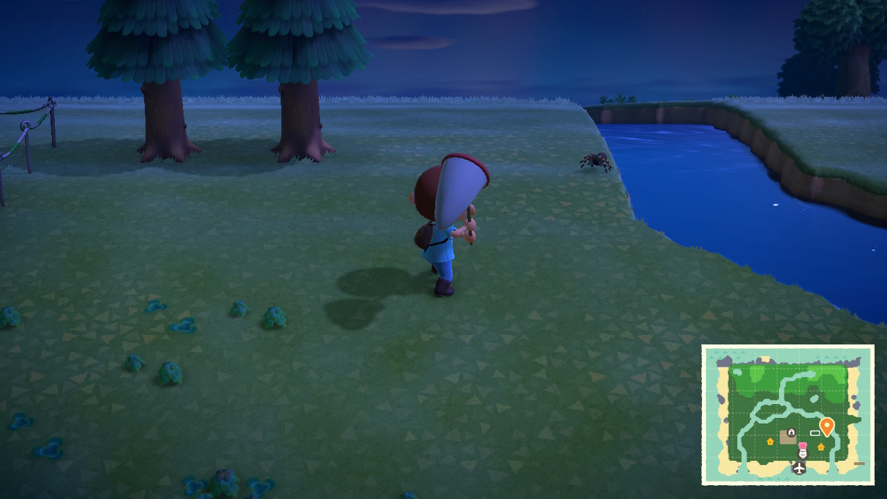 Klik pro zvětšení (Animal Crossing: New Horizons)