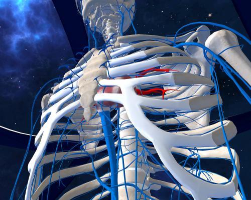 Human Anatomy VR vás naučí spoznávať svoje telo - recenze